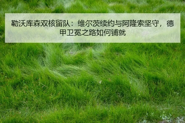 lei-wo-ku-sen-shuang-he-liu-dui-wei-er-ci-xu-yue-yu-a-long-suo-jian-shou-de-jia-wei-mian-zhi-lu-ru-he-pu-jiu-3-458.jpg