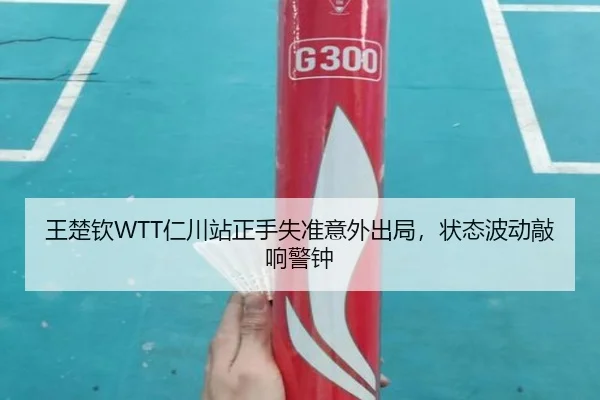 wang-chu-qin-ren-chuan-zhan-zheng-shou-shi-zhun-yi-wai-chu-ju-zhuang-tai-bo-dong-qiao-xiang-jing-zhong-2-308.jpg