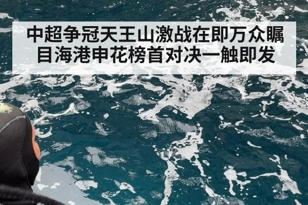 中超争冠天王山激战在即万众瞩目海港申花榜首对决一触即发